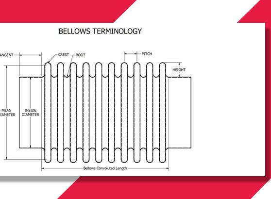 bellows terminology diagram